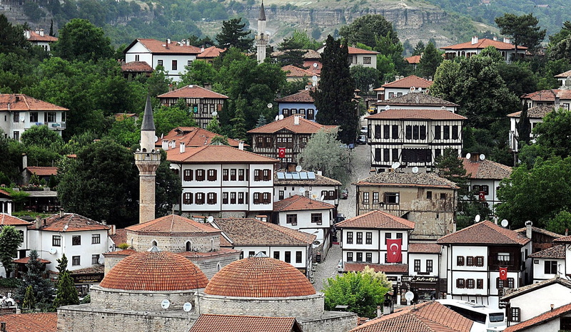 tree, community, city, turk, roof, house, architecture, east, building exterior, culture, landmark, flag, religion, plant, 1080P, national, mediterranean