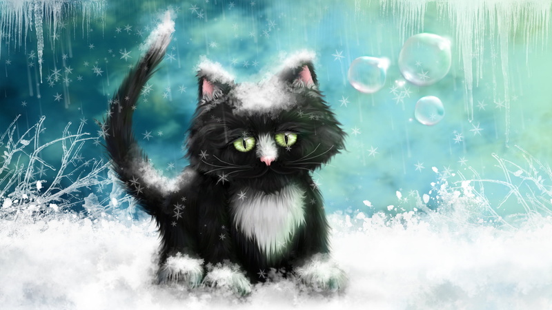 black, bubble, character, ice, humor, looking at camera, no people, domestic animals, illustration, domestic Cat, cat, water, domestic, motion, summer
