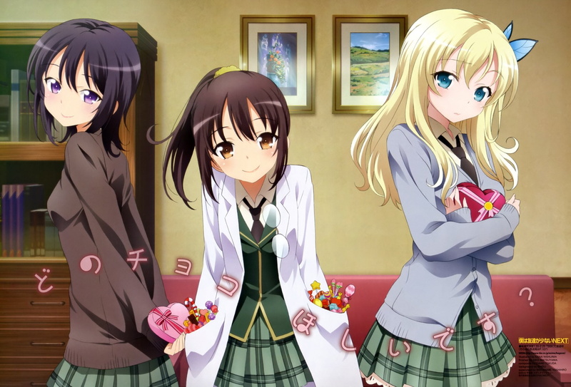clothing, hairstyle, Rika Shiguma, child, group of people, representation, Anime, girls, standing, indoors, people, women, adult, celebration, females