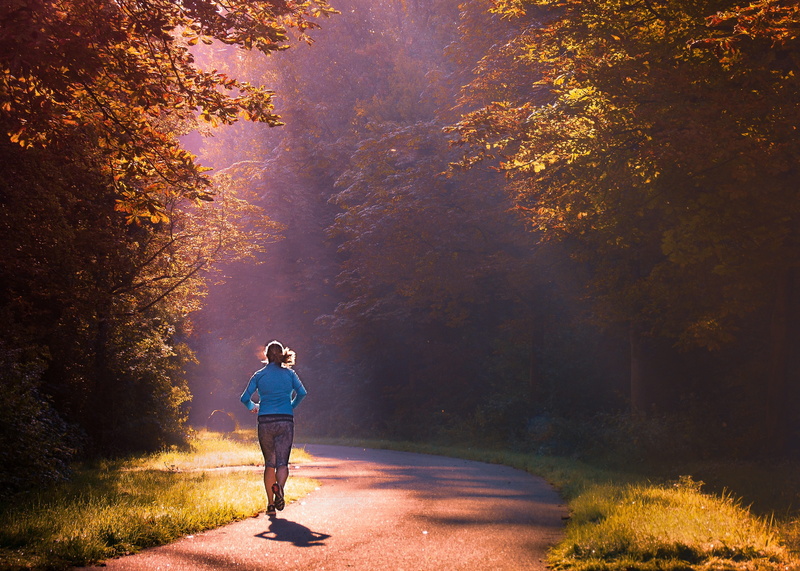 rear view, beauty in nature, lifestyles, sportive, jogger, running, plant, 2K, sportswear, one person, sports, sunlight, woman, fitness, motion, walk