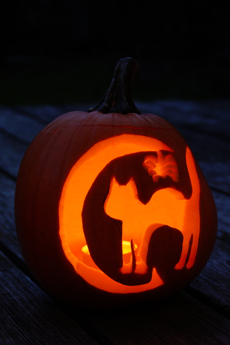 interior, the witch, fash, autumn, illuminated, halloweenkuerbis, face, carve, creativity, anthropomorphic face, diy pumpkin ghost, food and drink, hollow out