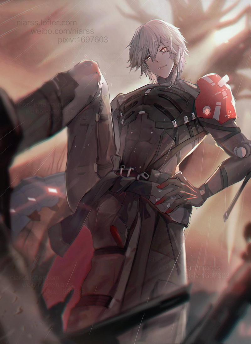 1080P, Gray Raven, Punishing: Gray Raven