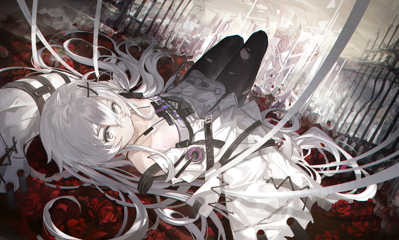 1080P, Punishing: Gray Raven, Gray Raven