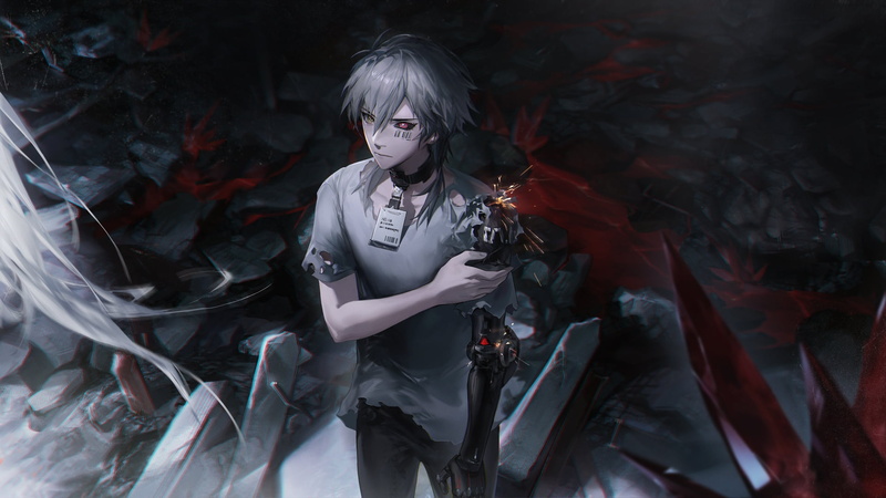 Punishing: Gray Raven, 1080P, Gray Raven