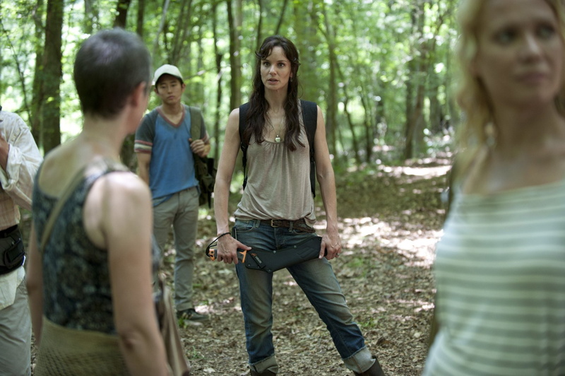 1080P, Lori Grimes, The Walking Dead, Sarah Wayne Callies, TV Show