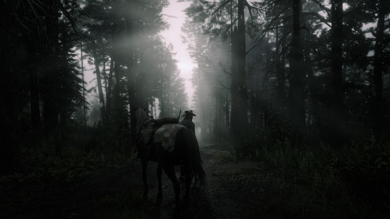 1080P, Rockstar Games, Arthur Morgan, dark, Red Dead Redemption 2, sun rays, forest