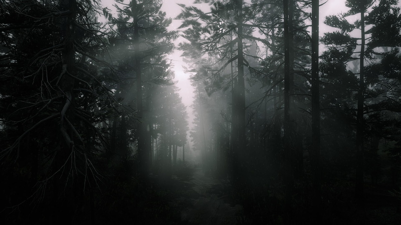 1080P, dark, Arthur Morgan, forest, sun rays, Rockstar Games, Red Dead Redemption 2