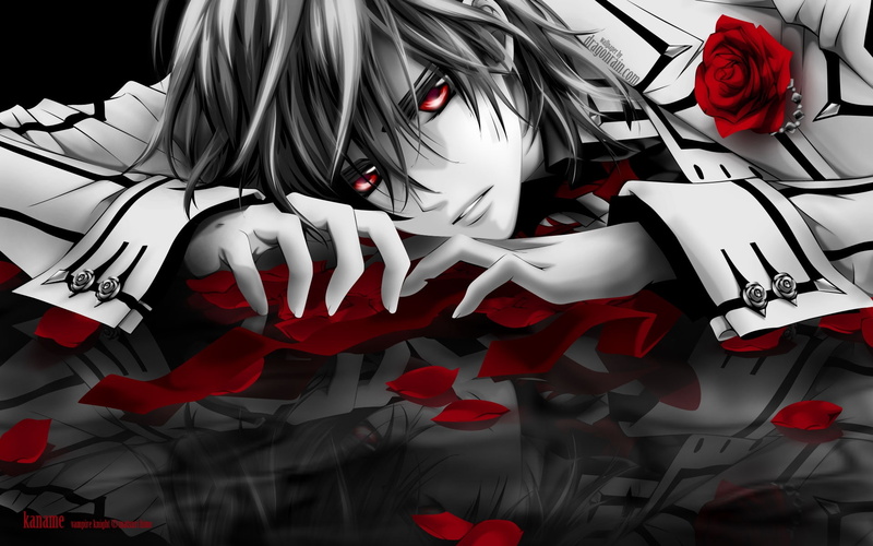 anime, kuran, Vampire Knight, vampire, hd, kaname, x, 1080P, knight, art