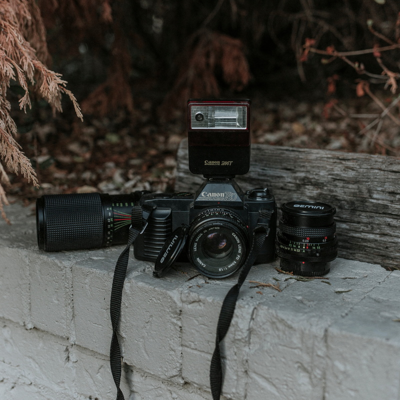 cinder, day, retro styled, technology, vintage, nature, photography, leaves, connection, canon, table, tree, equipment, bricks, antique, camera, no people