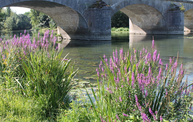 beauty in nature, day, flowering plant, plant, grass, freshness, bridge, architecture, water, purple, bridge - man made structure, arch bridge, no people