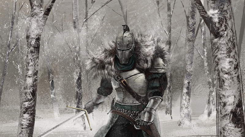 snow, armor, Dark Souls II, 1080P, video games, fur, forest, sword, Dark Souls