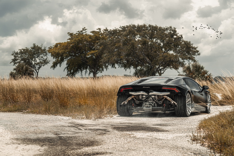 land, landscape, birds, day, dry grass, exhaust pipes, plant, field, growth, clouds, Lamborghini, Lamborghini Huracan, nature, motor vehicle, transportation