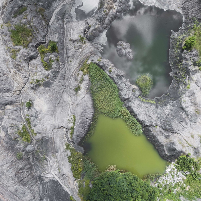 plant, a crack, lake, environmental, dryness, water, scenics - nature, degraded, dirty, growth, coal, above, dirt, tree, beauty in nature, no people, destroyed