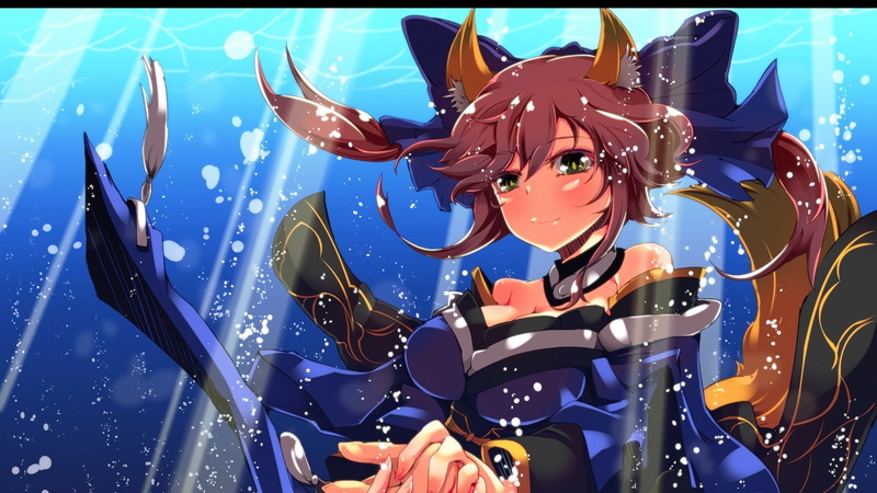 1080P, Animal Ears, Extra, Fate Series, Caster (Fate, Fate