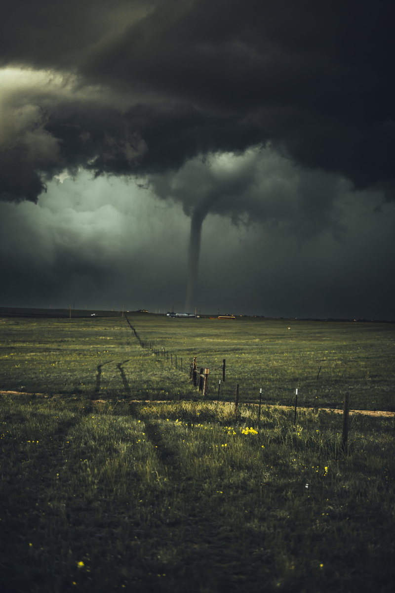 landscape, near, sky, grass, plants, ominous, no people, leafed, dangerou, wyoming, cloud - sky, environment, plant, stormchasing, beauty in nature, thunderstorm