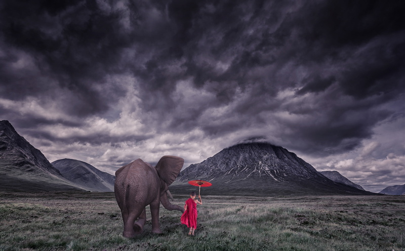 Creative, landscape, mountain, Storm, land, scenics - nature, nature, field, Mountains, one animal, environment, Animal, sky, rear view, Clouds, cloud - sky
