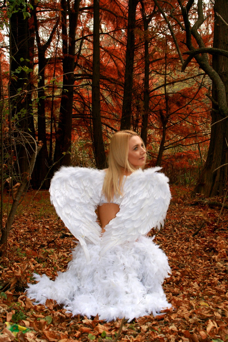 angel, woodland, outdoors, women, day, beauty, plant, woman, paradise, forest, beautiful woman, blond hair, autumn, hairstyle, young adult, red, change