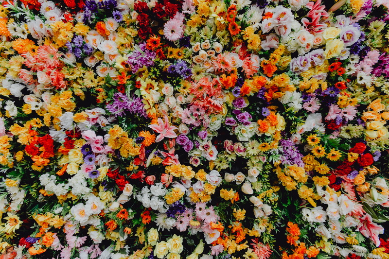 high angle view, various, background, santo antonio, multi colored, portugal, museum, fest, festa, flowering plant, Saint Anthony, no people, variation