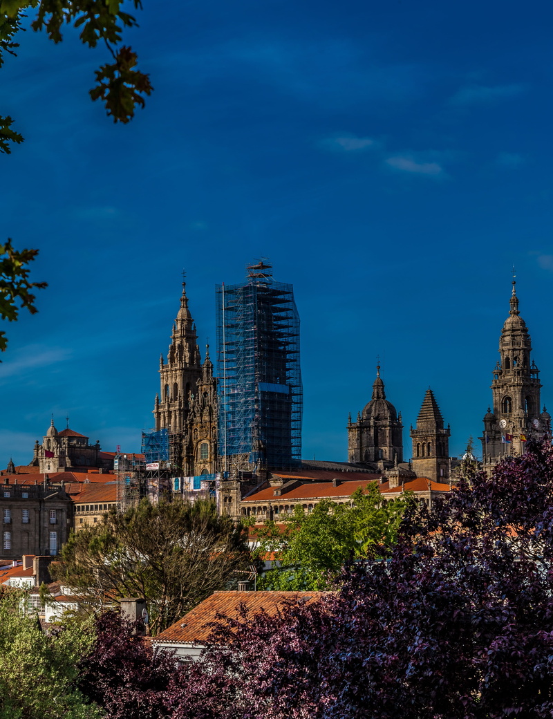 plant, city, cloud - sky, Cathedral, Santiago, Camino, sky, compostela, place of worship, De, st, religion, 4K, travel, james, spirituality, cityscape