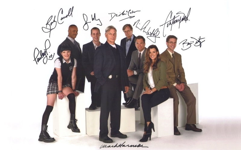 1080P, Leroy Jethro Gibbs, Jimmy Palmer, Anthony Dinozzo, Dr. Donald Mallard, Michael Weatherly, Mark Harmon, Timothy McGee, Leon Vance, Ziva David, Sean Murray