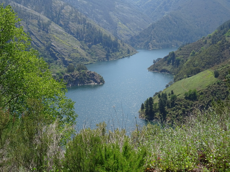 green color, mountain, tranquil scene, plant, forest, nature, scenics - nature, 5K, non-urban scene, tranquility, way of st james, lake, tree, outdoors