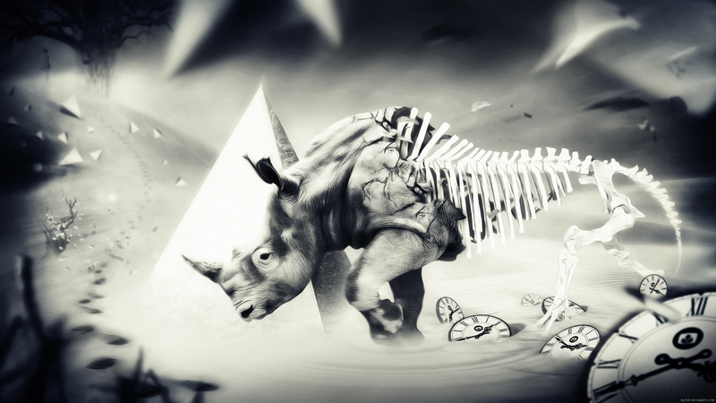 turning, gray, rhino, running, graphic, skeletal, skeleton, pyramid, skelet, 2K, animal, near, photo, scale