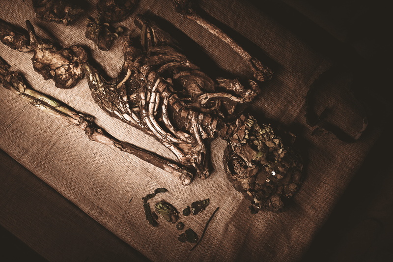  representation, dead person, culture, spirituality, still life, 5K, creativity, table, skeleton, skelet, dark, craft, dead, indoors, sipan