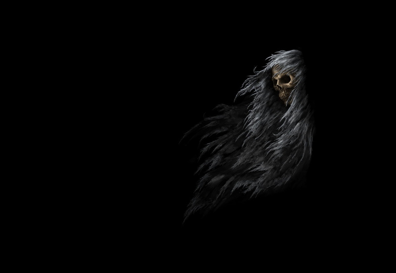 studio shot, copy space, eagle, dark, animals in the wild, bird, the darkness, skull, animal body part, 1080P, bird of prey, Sawan, black background, indoors