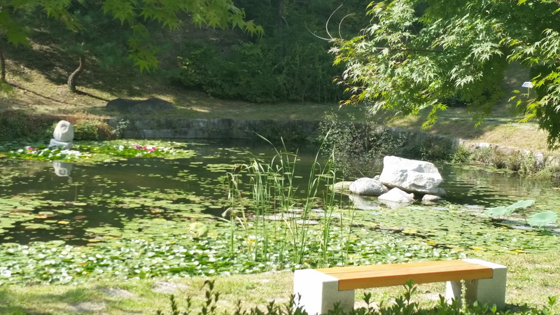 pond, tranquility, day, minority vow, sculpture, seat, water, growth, forest, permanent residence, 5K, no people, bench, nature, representation, grass