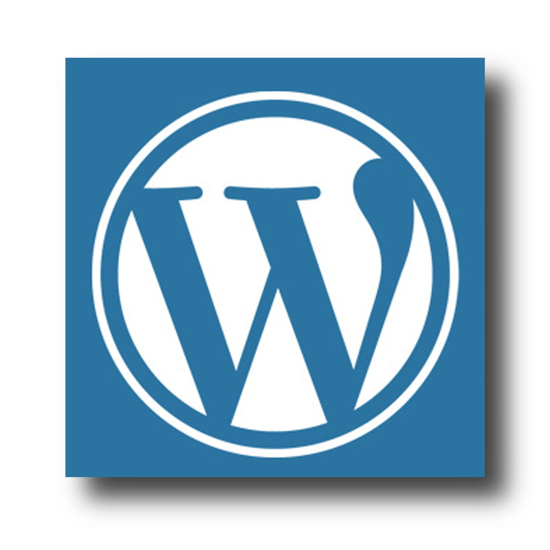 white background, blue, copy space, wordpress, studio shot, 1080P, internet, blog, computer icon, message, box, text, website, white, cut out, communication
