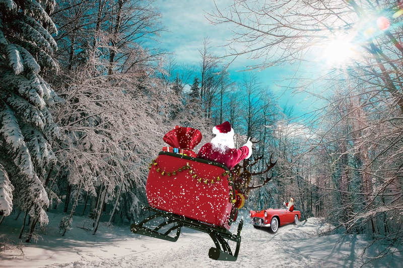 sledge, 1080P, red, christmas tree, nature, land, father christmas, santa, branch, festival, merry christmas, clous, christmas, cold temperature, winter