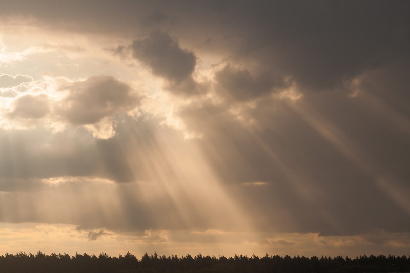 yellow, heaven, light, backdrop, no people, shine, season, cloudscape, nature, storm, sky, glow, cloud - sky, scenics - nature, beauty in nature, tree