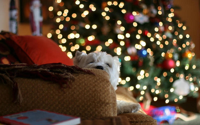 pictures, christmas, festive, resolution, high, seasonal, holidays, 1080P