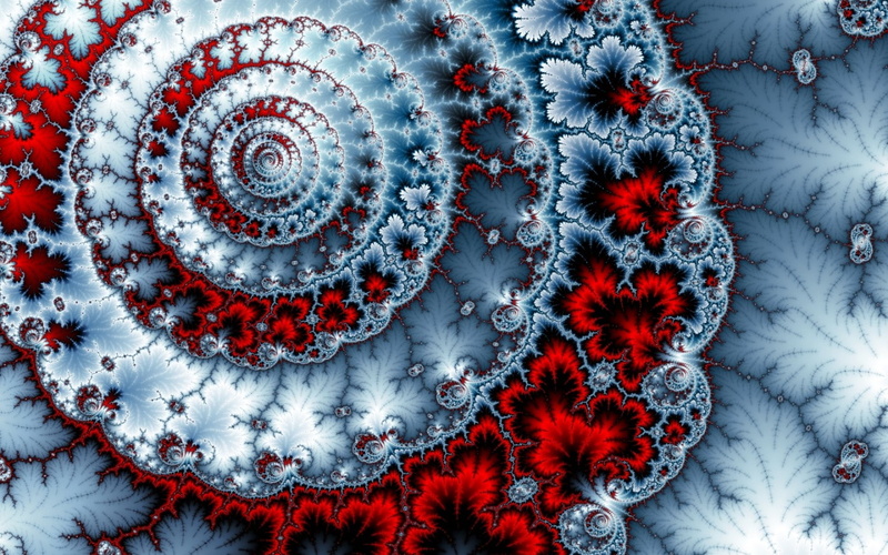 day, nature, fractal, floral pattern, textile, plant, abstract, beauty in nature, spiral, indoors, flowering plant, flower, red, no people, 720P, backgrounds