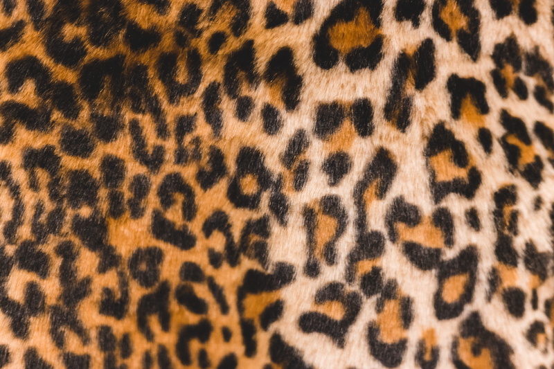 animal markings, leopard, cat, paisley, wildlife, texture, natural pattern, cheetah, mammal, fur, backgrounds, ocelot, animals in the wild, pattern, one animal