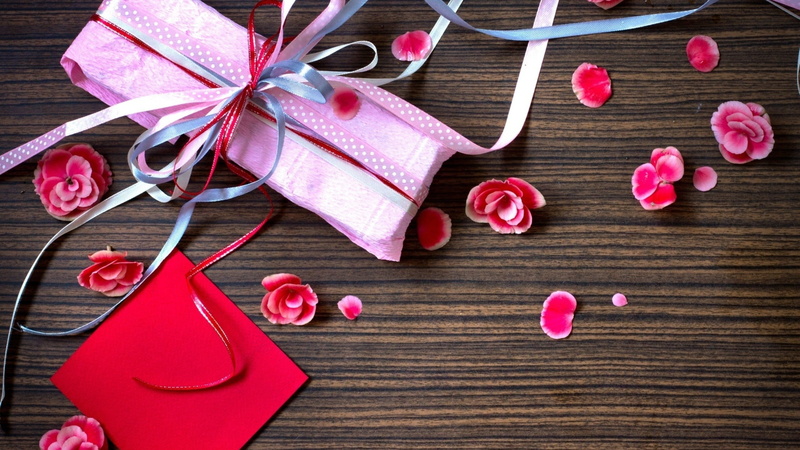 plant, flower, emotion, studio shot, no people, flowering plant, pink, love, valentines day - holiday, ribbon, freshness, close-up, heart shape, still life