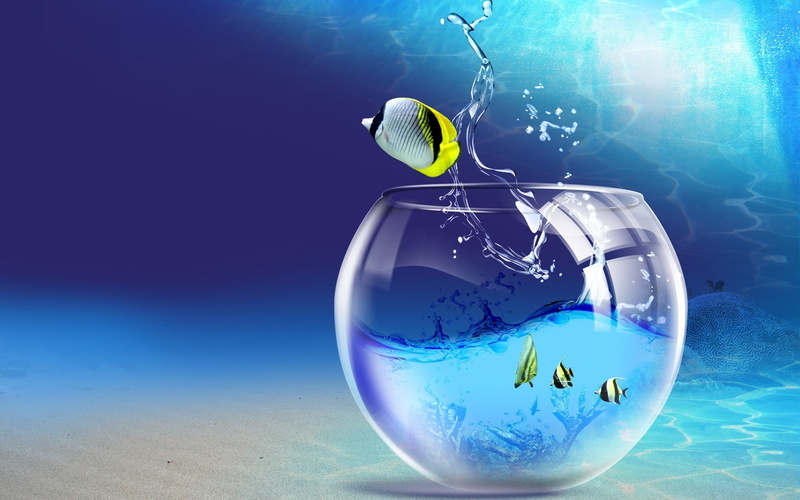 1080P, Imagination, Tropical, Fish, Creative