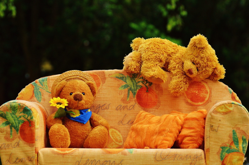 celebration, day, representation, bears, flowering plant, stuffed toy, creativity, funny, children, animal themes, orange color, sweet, brown bear, couch