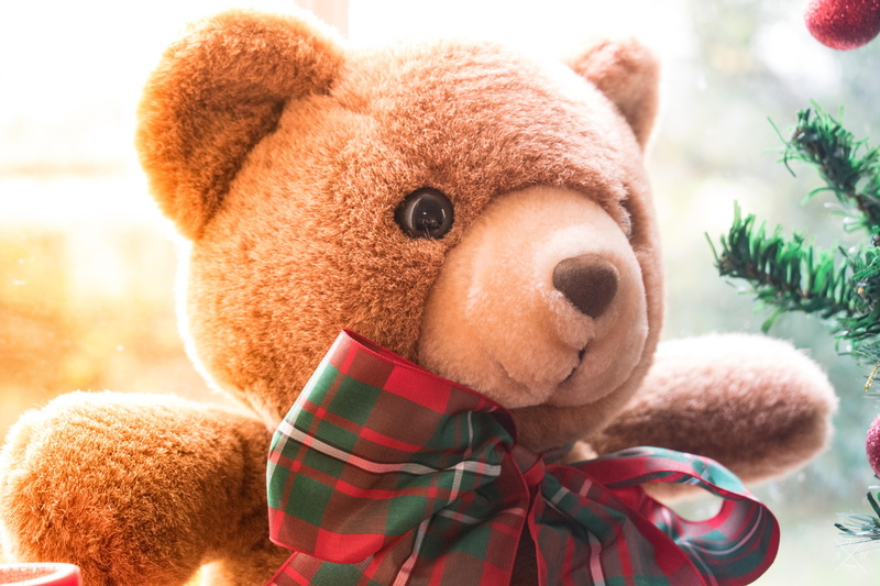 close-up, brown, children toys, representation, hat, animal, ribbon, christmas, 5K, focus on foreground, stuffed toy, animal themes, kids toy, bear, season