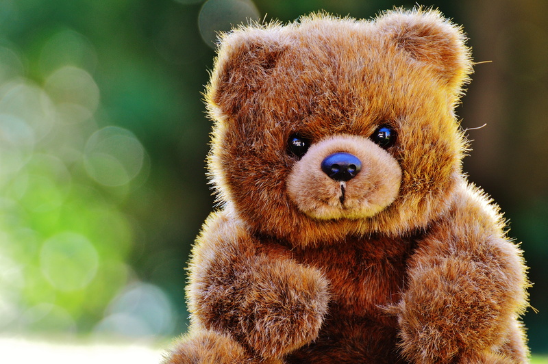 animals in the wild, softness, one animal, close-up, toy, stuffed animal, stuffed toy, mammal, animal wildlife, soft toy, focus on foreground, toys, brown bear