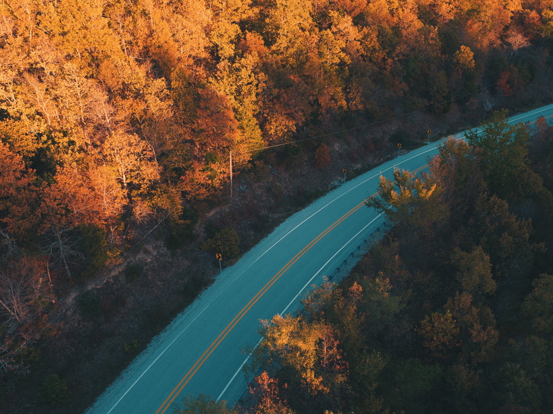 gray, nature, street, red, idyllic, outdoors, orange color, fall, change, aerial, scenics - nature, travel, beauty In Nature, asphalt, brown, car, forest