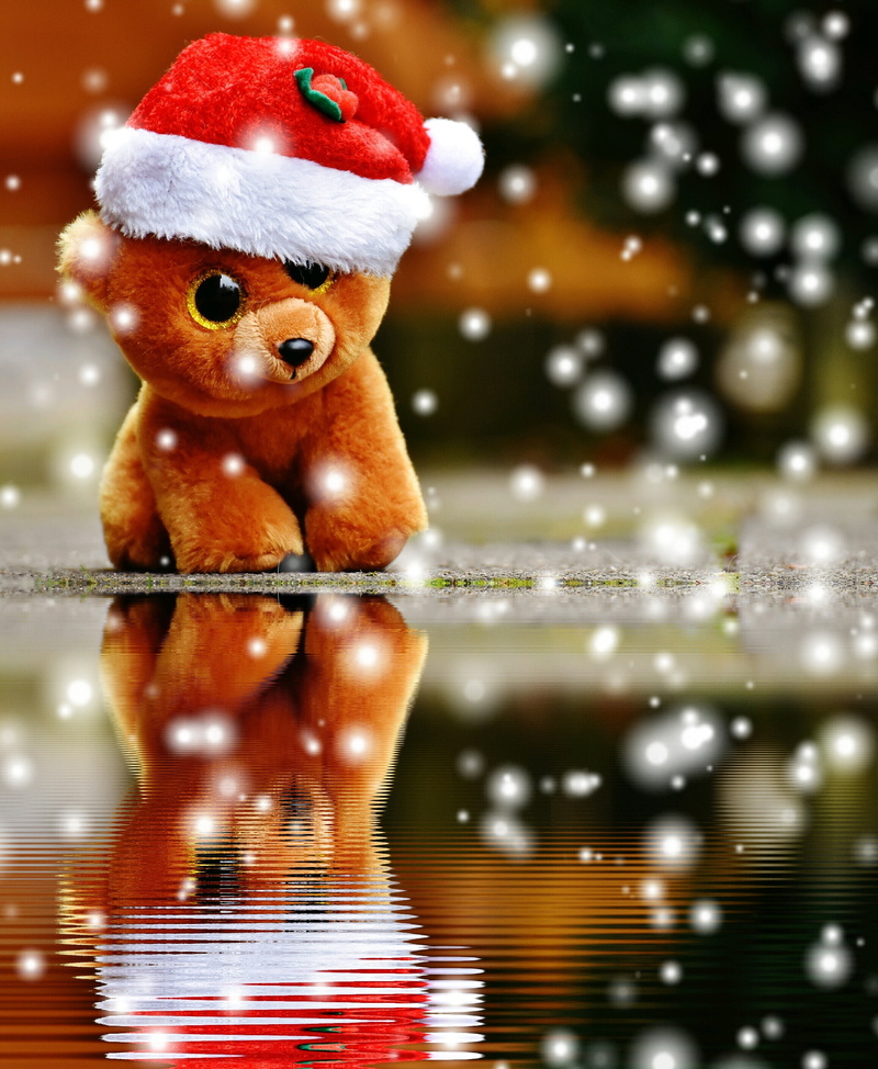 no people, children toys, cuddly, christmas decoration, teddy bear, snow, indoors, red, soft toy, teddy, art and craft, water, toys, holiday - event, glitter eyes