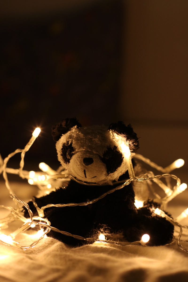 strings, string lights, candle, burning, panda, soft toy, nature, illuminated, indoors, close-up, christmas decor, focus on foreground, celebration, light