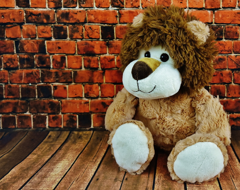 children toys, no people, kuschelweich, brick wall, 4K, funny, sitting, day, photo, cute, stuffed animal, brick, teddy bear, wood - material, beside, toy animal