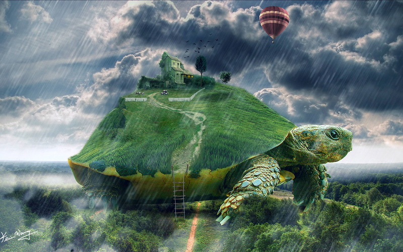 Turtle, Animal, 1080P, Psychedelic, CGI, Artistic, Manipulation, Trippy, Digital Art