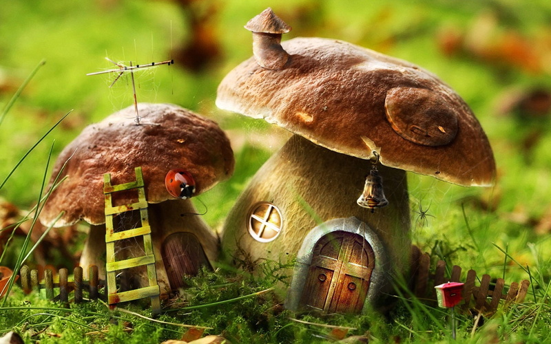 mushroom house nature digital art, 1080P