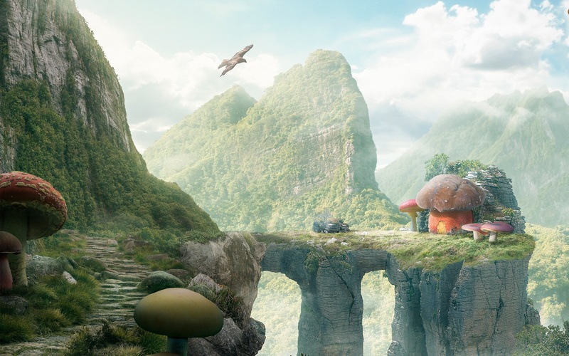 Mushroom, 2K, 8k, house, 4k, HD