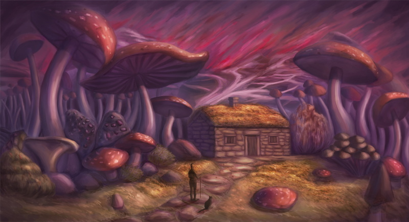 People, 2K, mushrooms, house, cat