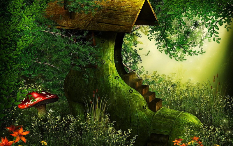 Artistic, Forest, Shoe, Fantasy, House, 1080P, Mushroom