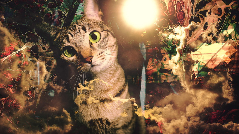 sky, cat, 1080P, paint splatter, swirl, clouds, abstract